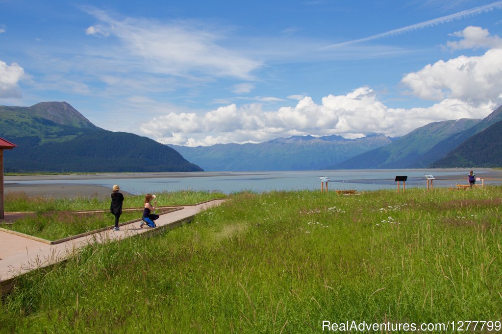 Turnagain Arm | Glaciers & Wildlife: Super-Scenic Day Tour | Image #5/11 | 