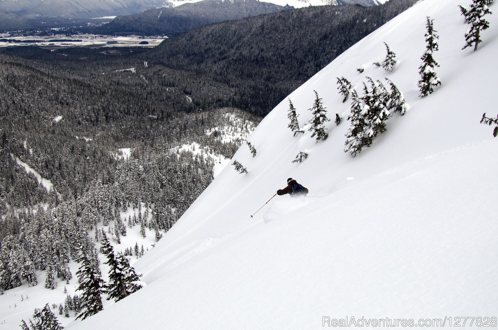 Eaglecrest Ski Area | Juneau, Alaska  | Skiing & Snowboarding | Image #1/5 | 