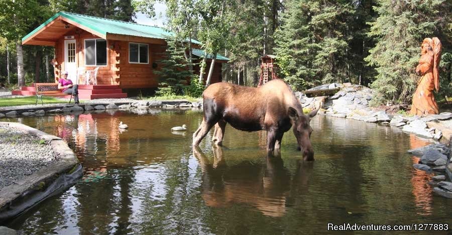 'Dream' cabin on the pond | A Cabin by the Pond | Image #2/9 | 