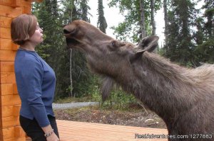 A Cabin by the Pond | Soldotna, Alaska | Hotels & Resorts