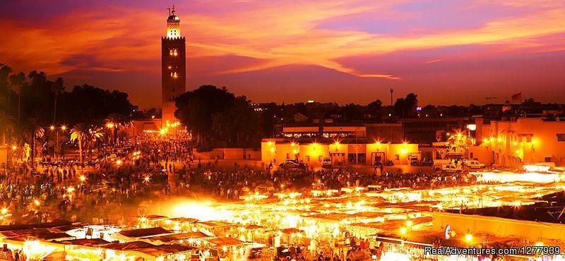 Visitas Guiadas de Marrakech | Marrakech, Morocco | Wildlife & Safari Tours | Image #1/3 | 