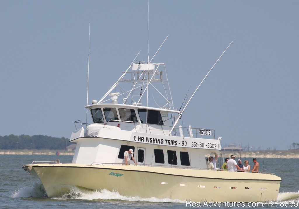 65 Ft. | Capt Mike's Deep Sea Fishing | Image #6/8 | 