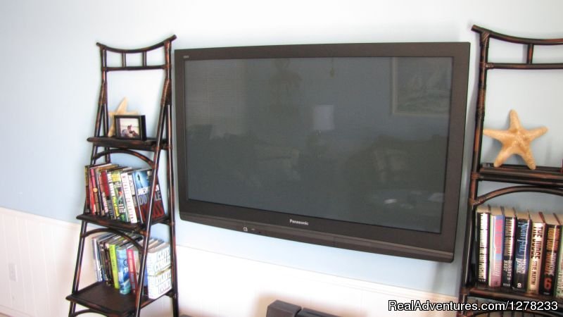 Living Room Entertainment Area | Gulf Front Beach House - Oz Duplex | Image #2/8 | 