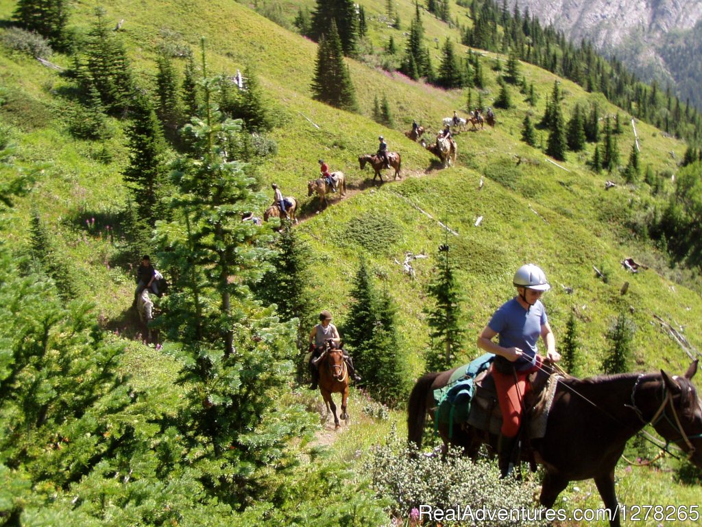 The Big Climb | Boundary Ranch Home of the 'Guy on a Buffalo' | Image #3/10 | 