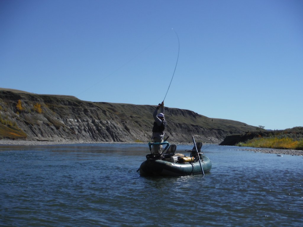 Alberta Fly Fishing | Image #9/10 | 