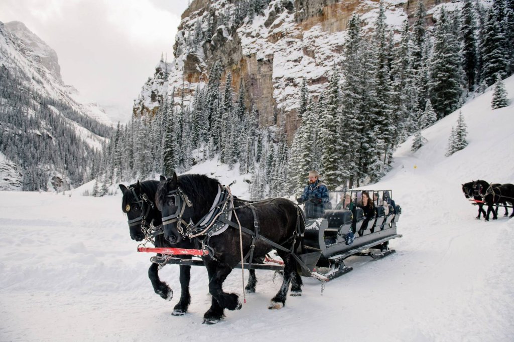 Brewster Adventures | Lake Louise, Alberta  | Horseback Riding & Dude Ranches | Image #1/4 | 