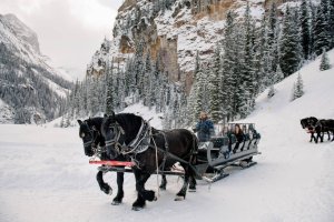 Brewster Adventures | Lake Louise, Alberta Horseback Riding & Dude Ranches | Great Vacations & Exciting Destinations