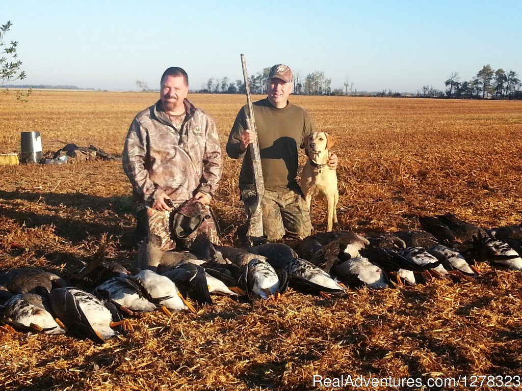 Waterfowl in the Field | Alberta Bush Adventures | Image #2/3 | 