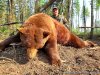 Double Diamond Wilderness Hunts Ltd. | Rimbey, Alberta