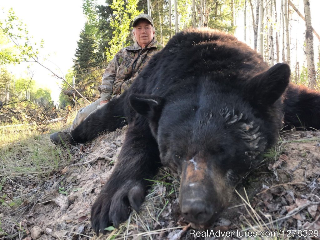 Double Diamond Wilderness Hunts Ltd. | Image #10/21 | 