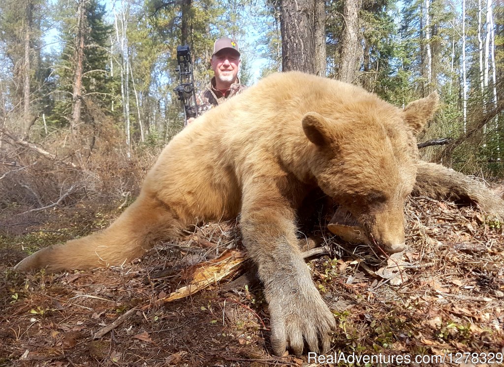 Double Diamond Wilderness Hunts Ltd. | Image #4/21 | 