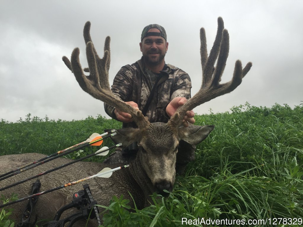 Double Diamond Wilderness Hunts Ltd. | Image #2/21 | 