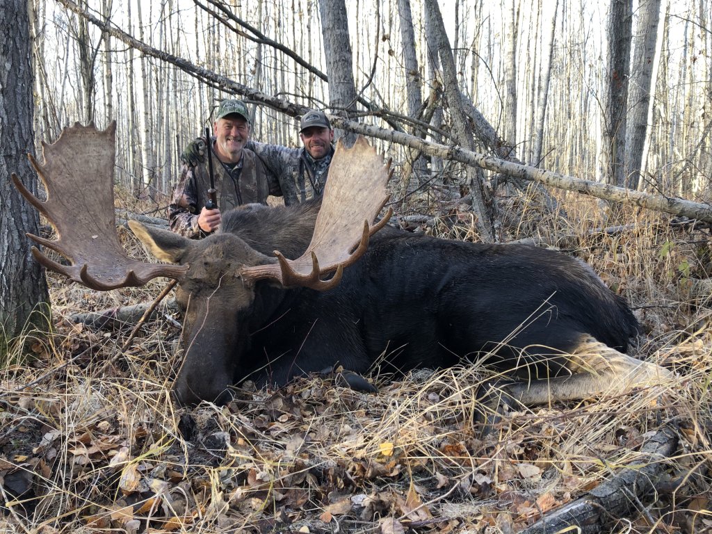 Rifle Moose | Northern Edge Outfitting Ltd. | Image #5/6 | 