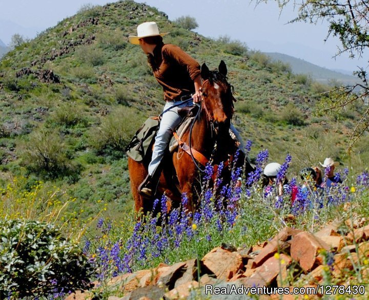 Cave Creek Trail Rides | Image #2/5 | 