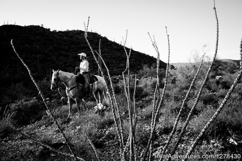 Cave Creek Trail Rides | Image #4/5 | 