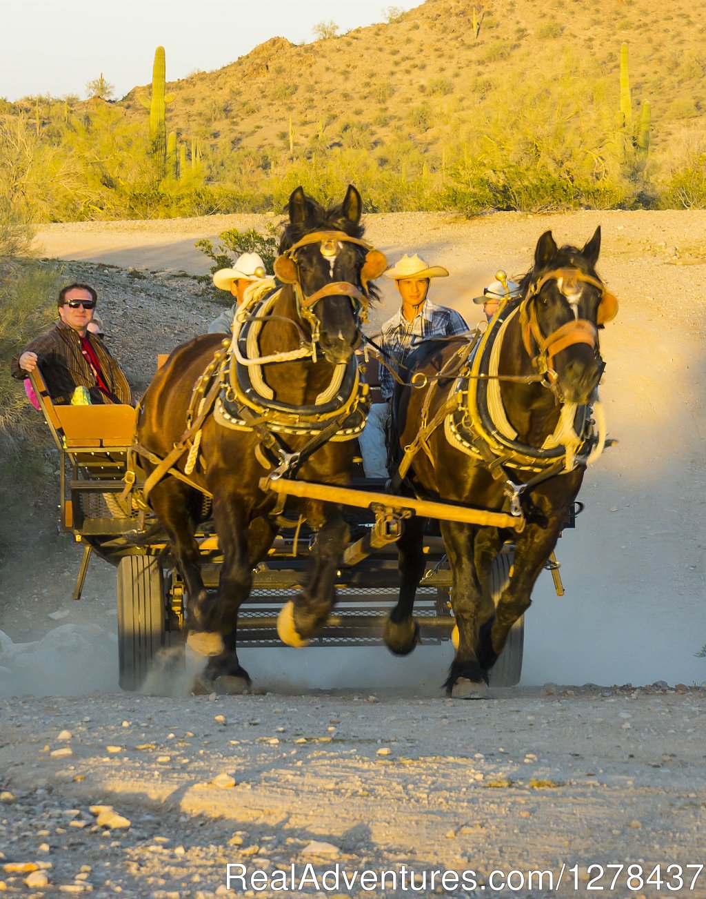 Wagon Rides | Corral West Adventures | Image #4/4 | 