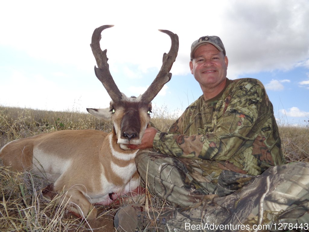 Arizona Pronghorn Antelope | Arizona Guided Hunts | Image #4/11 | 