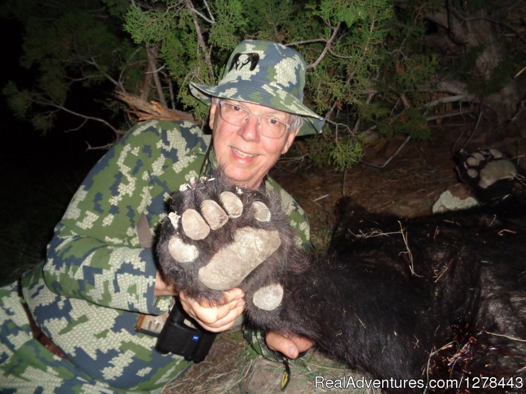 Hunt Big Arizona Bears | Arizona Guided Hunts | Image #10/11 | 