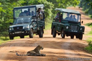 Srilanka Budget tours & travels | Negombo, Sri Lanka | Sight-Seeing Tours