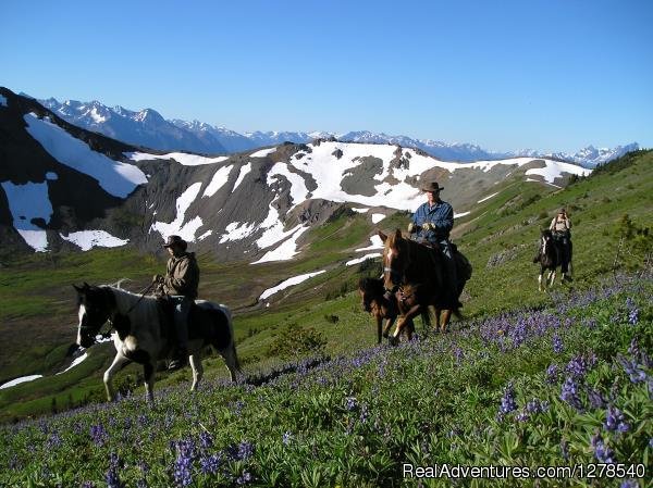 Pack trip | Chilcotin Holidays | Image #3/11 | 