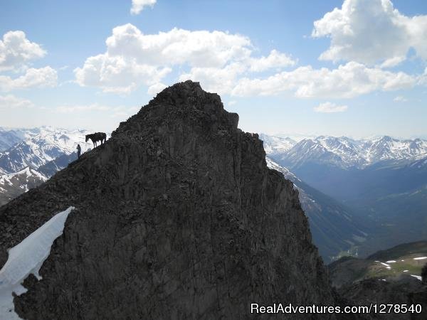 Pack trip | Chilcotin Holidays | Image #6/11 | 