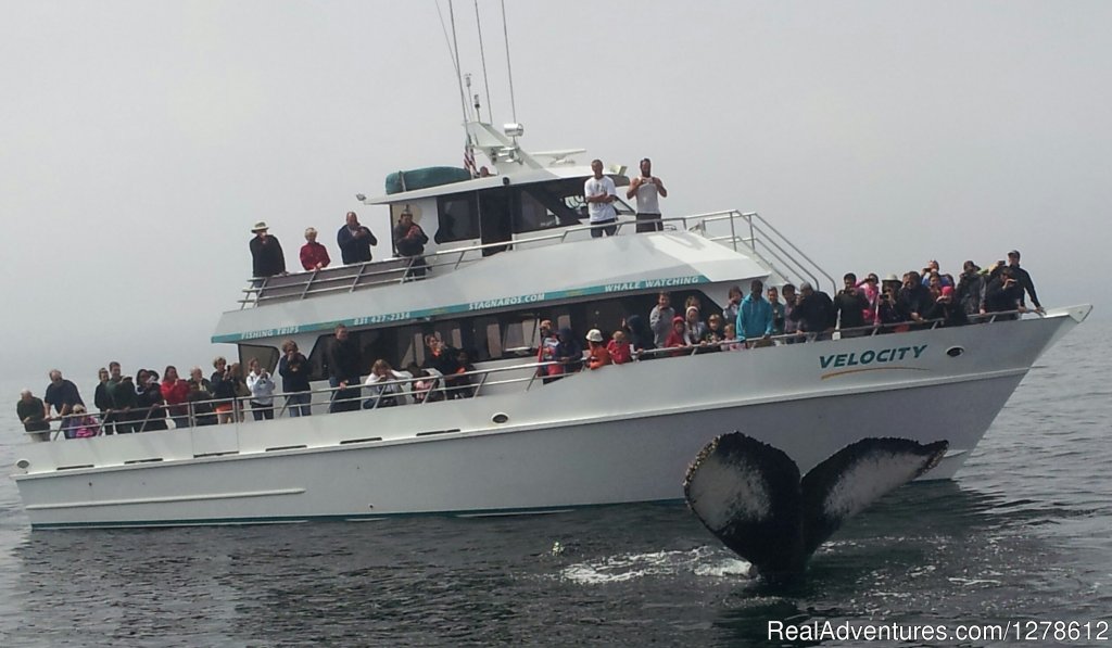 Stagnaro Charter Boats | Santa Cruz, California  | Cruises | Image #1/1 | 