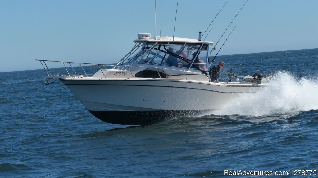 30 Foot Grady White Marlin | Wild Pacific Charters | Ucluelet, British Columbia  | Fishing Trips | Image #1/11 | 