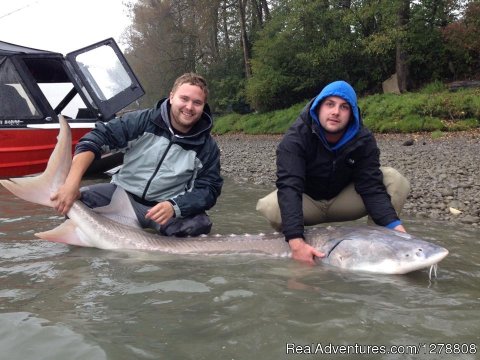 Fraser River Mission sturgeon