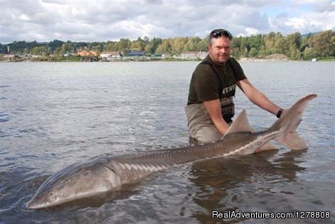 Beautiful Sturgeon | Sts Guiding Service | Image #8/19 | 