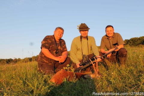 Roe deer hunting