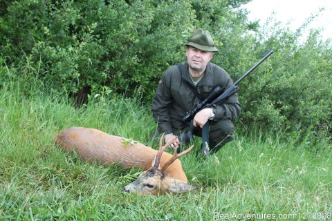 Roe deer stalking in Romania