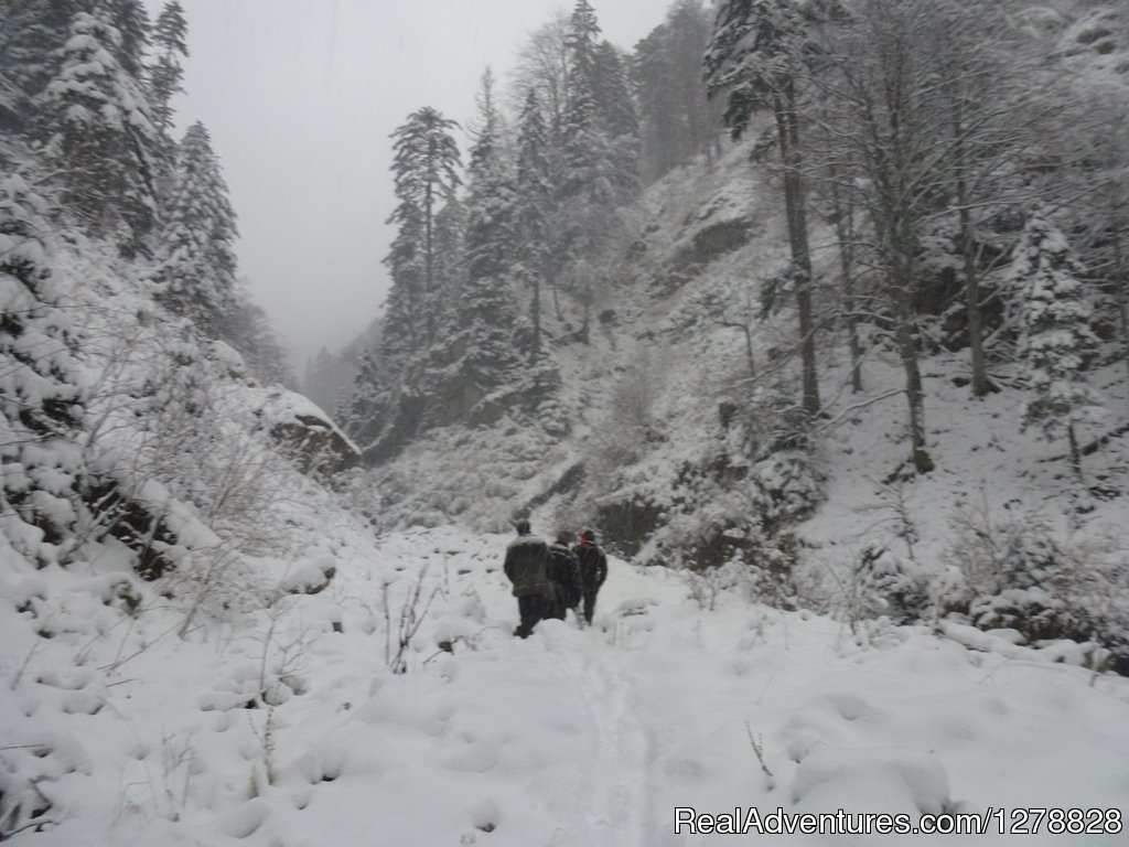 Chamois hunting | Big and small game hunting in Romania | Image #12/26 | 