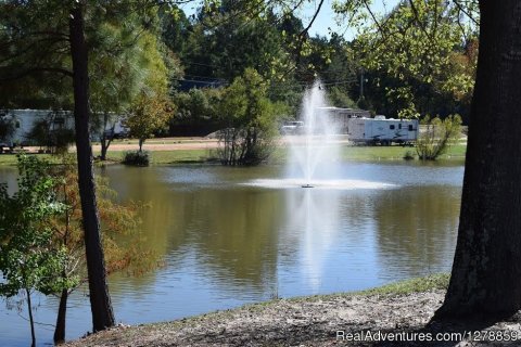 Fountain View and East Side of park