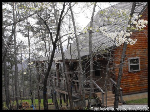 Dogwood Cabin