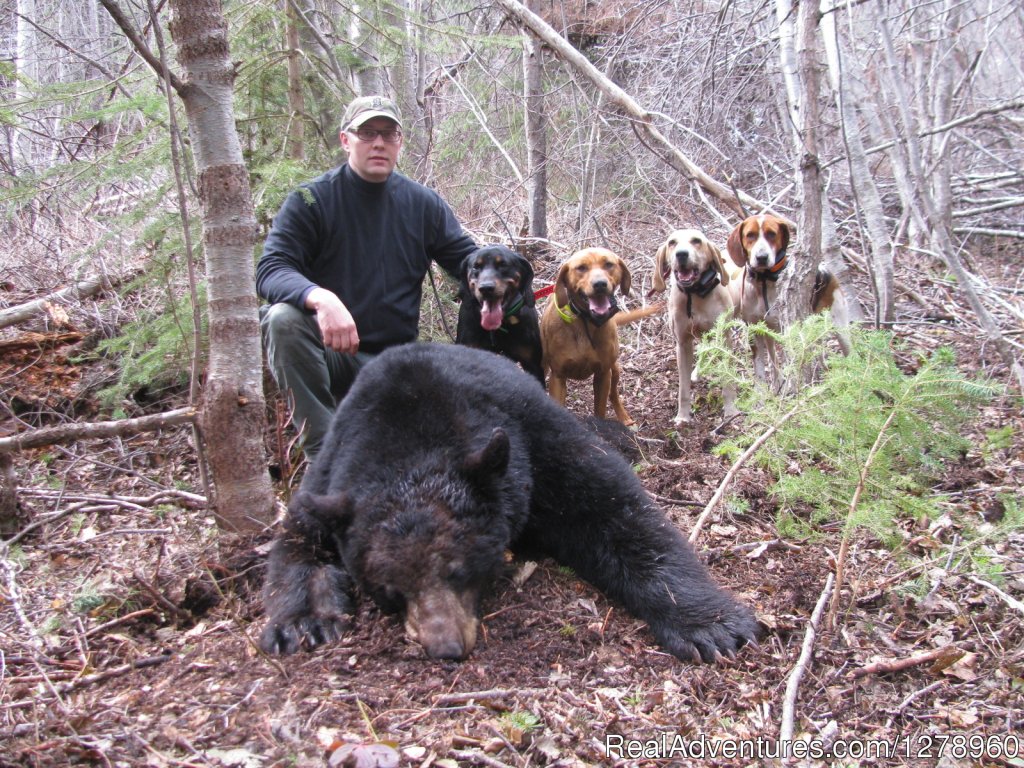 Awesome Country | Big Game hunting in British Columbia | Image #2/5 | 