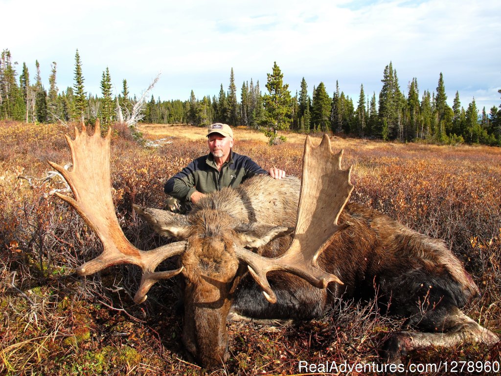 Awesome Country | Big Game hunting in British Columbia | Image #3/5 | 