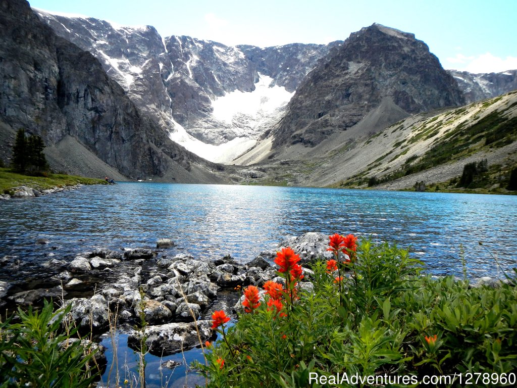 Awesome country | Big Game hunting in British Columbia | Image #4/5 | 