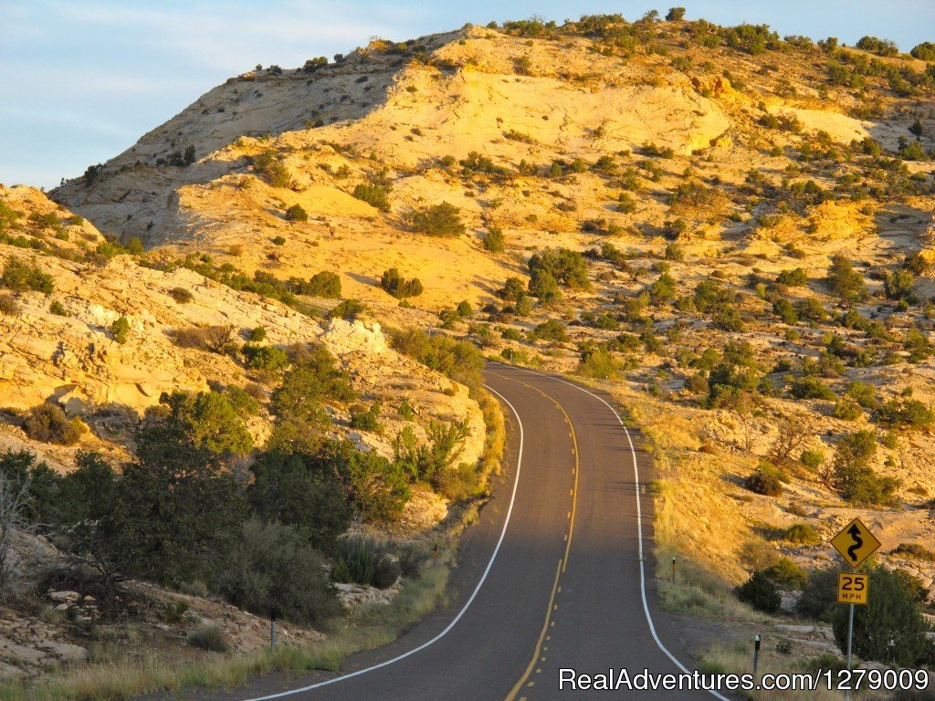 Lizard Head Cycling Guides | Image #6/6 | 