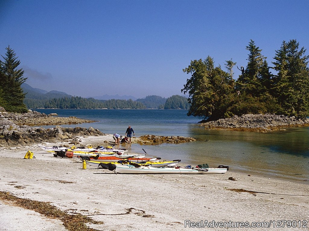 Majestic Ocean Kayaking | Image #4/13 | 