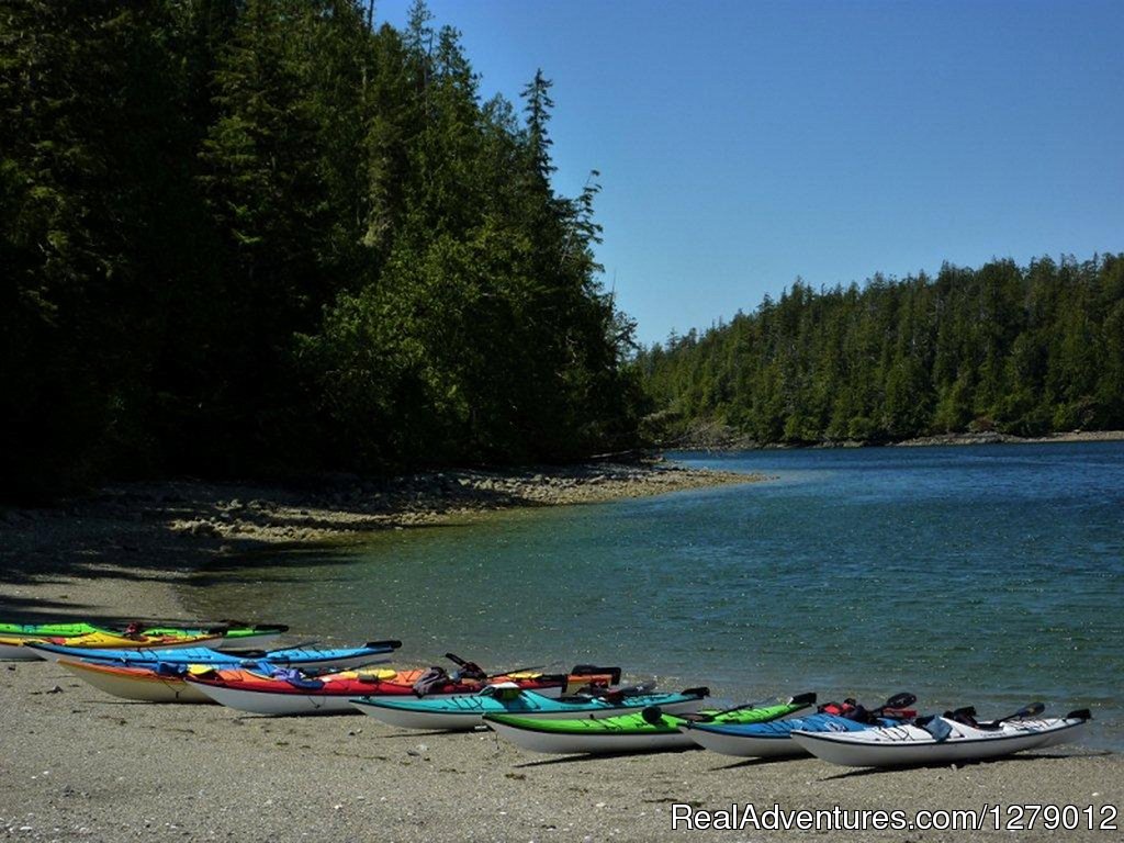 Majestic Ocean Kayaking | Image #13/13 | 