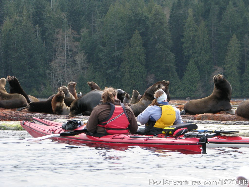 Adventuress Sea Kayaking | Image #2/5 | 