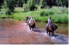 Circle K Guest Ranch | Dolores, Colorado