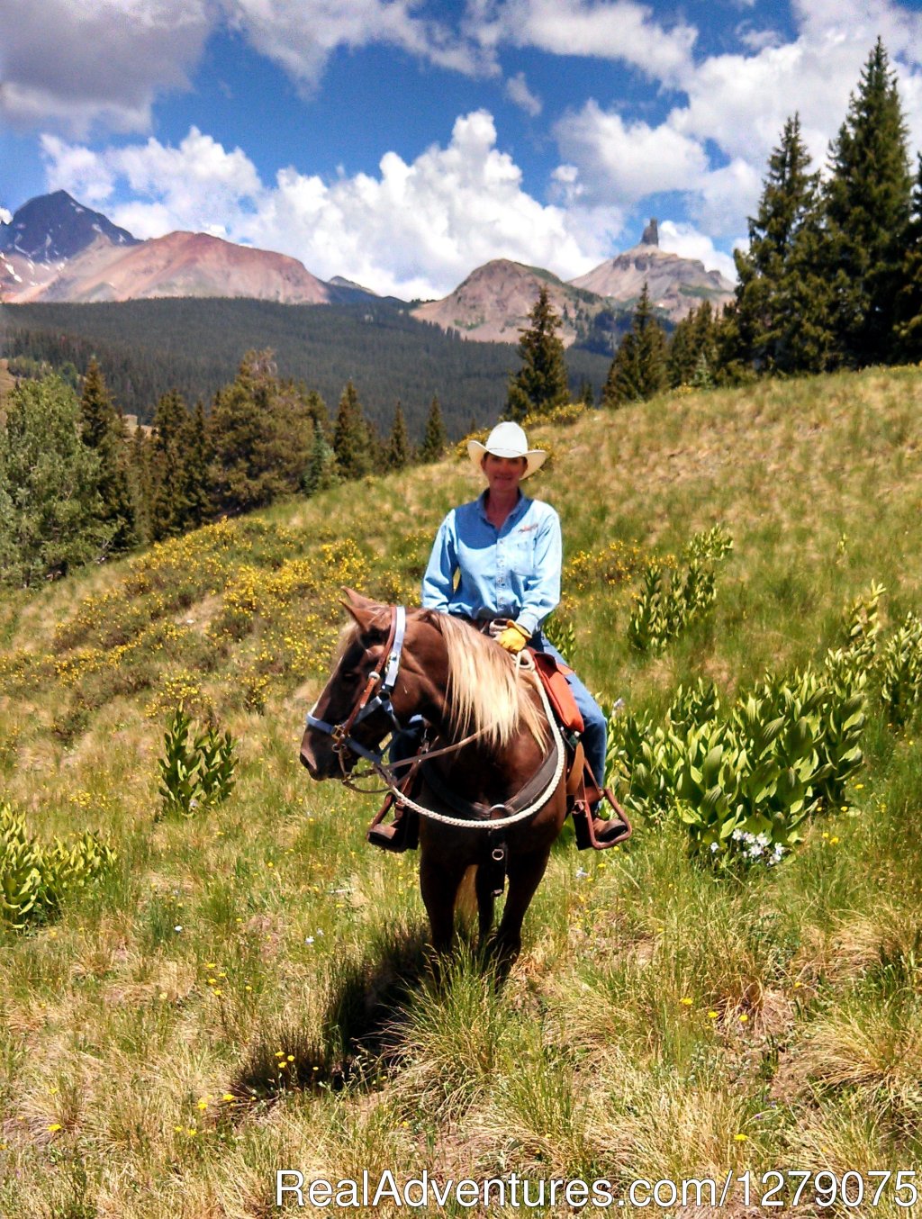 Circle K Guest Ranch | Image #10/15 | 