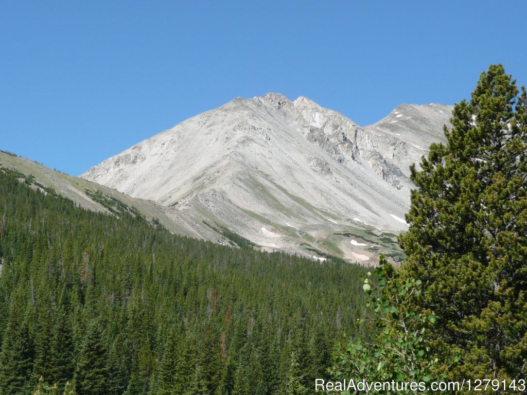 Mt Harvard | Colorado Trail Hiking | Image #5/9 | 