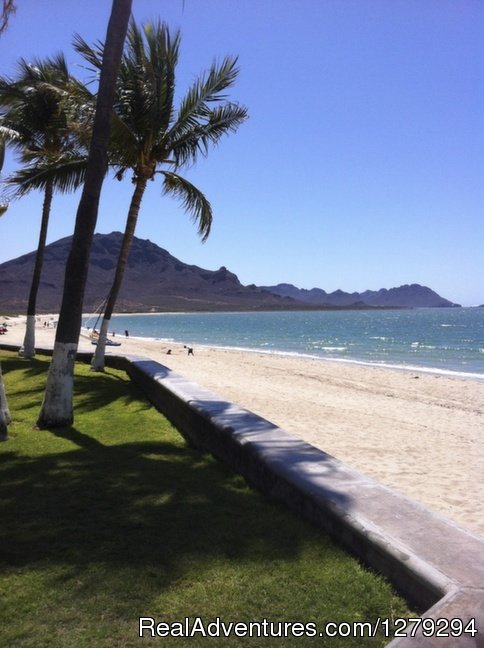 3 BR Condo ON BEACH in San Carlos Next to Estuary | Image #8/17 | 