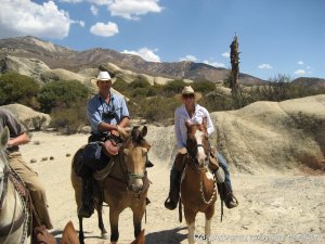 Beach Rides, Pack trips & Trail Rides