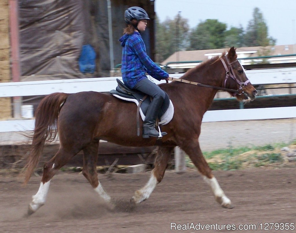 Pine Trails Ranch | Davis, California  | Horseback Riding & Dude Ranches | Image #1/4 | 