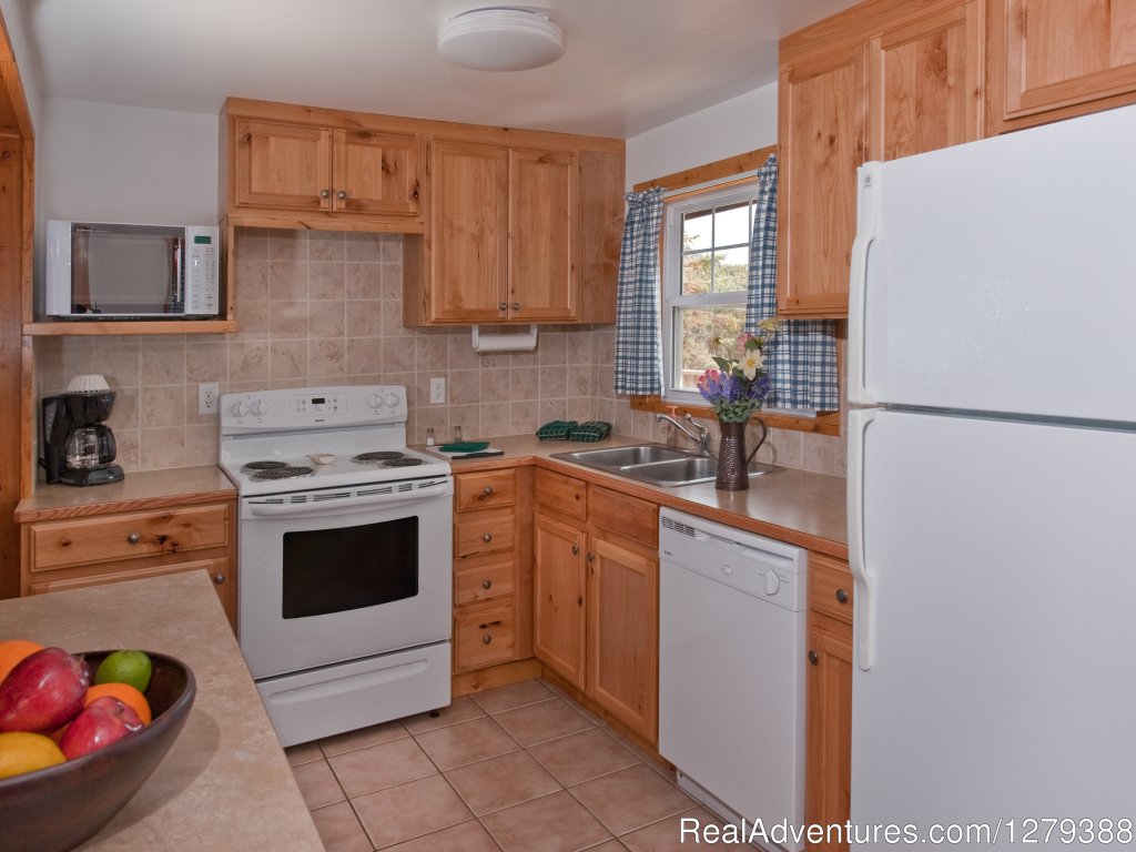 Cabin 20 kitchen | Valhalla Resort | Image #21/23 | 