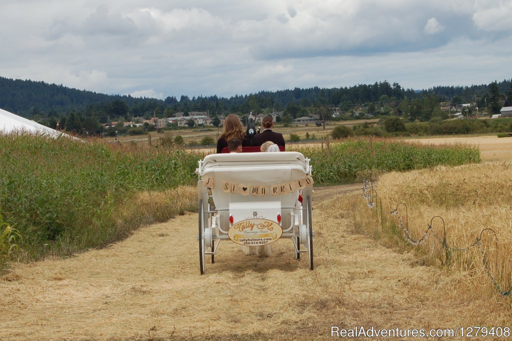 Private Horse-Drawn Carriage Tour | Image #13/13 | 