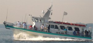 Island Current | Bronx, New York | Fishing Trips